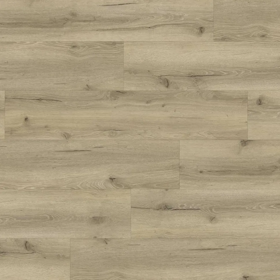 Klick-Planke SofTec 50 XL