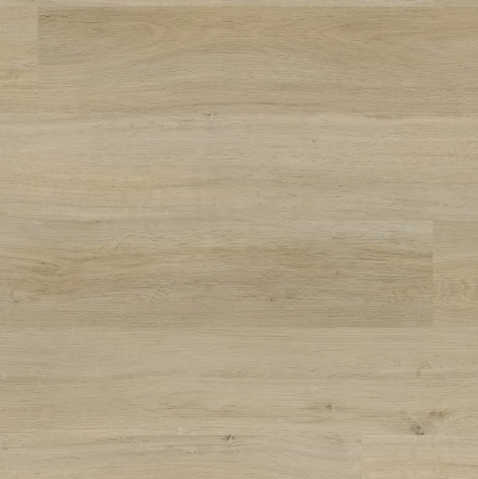 Project Floors Designboden floors@work/55