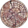Teppich Aurora 095