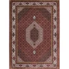 Teppich Bidjar Deluxe