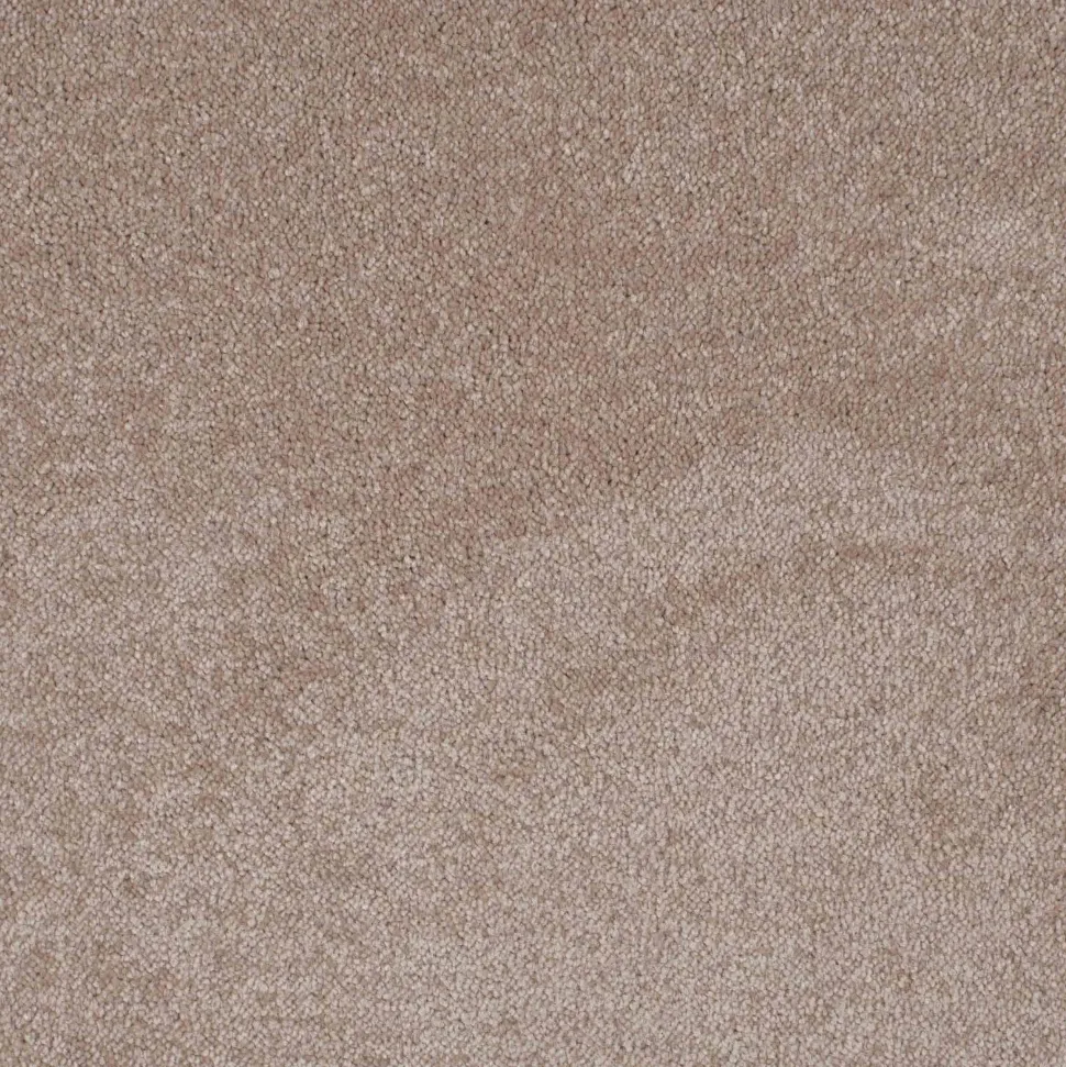 Teppichboden Patina