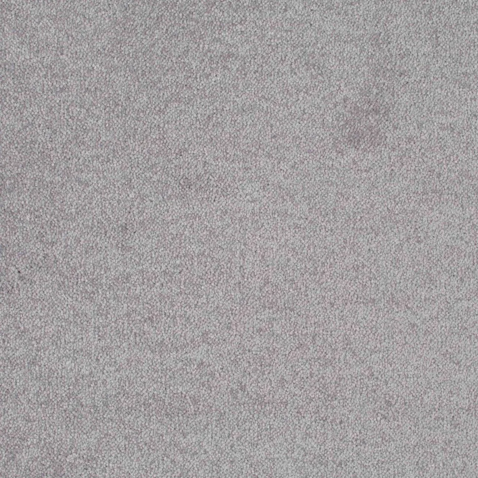 Teppichboden Patina