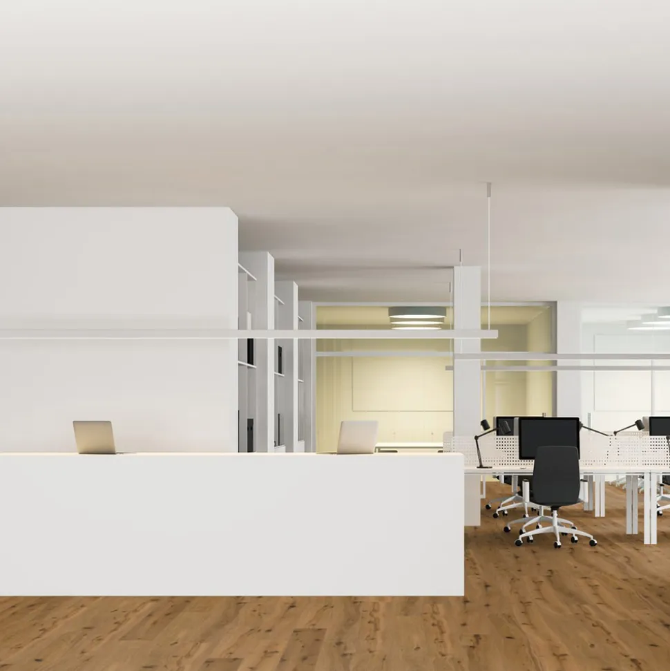 Thede & Witte Parkett Boston Eiche Rohoptik
