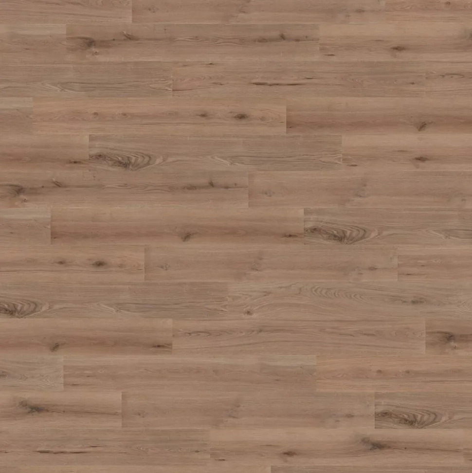 Wineo Designboden 1000 wood L