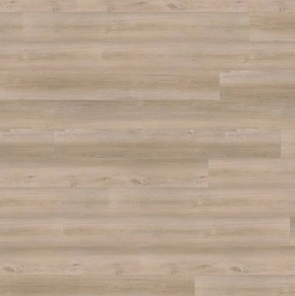 Wineo Designboden 1200 wood XXL